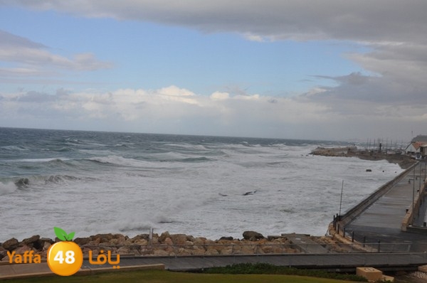 yaffa rain 1211 (32).JPG